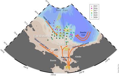 Multi-year variability of summer phytoplankton biomass and size structure in the northern Chukchi and East Siberian Seas, Arctic Ocean: role of light and nutrient availability